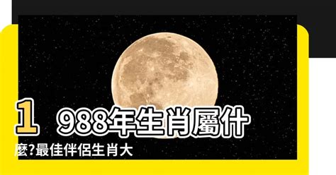 1988出生|1988是民國幾年？1988是什麼生肖？1988幾歲？